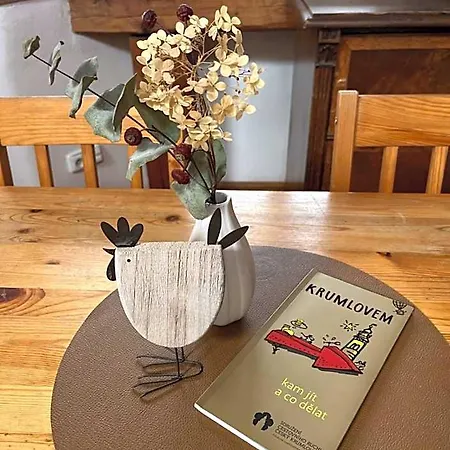 Hostal Travel Český Krumlov